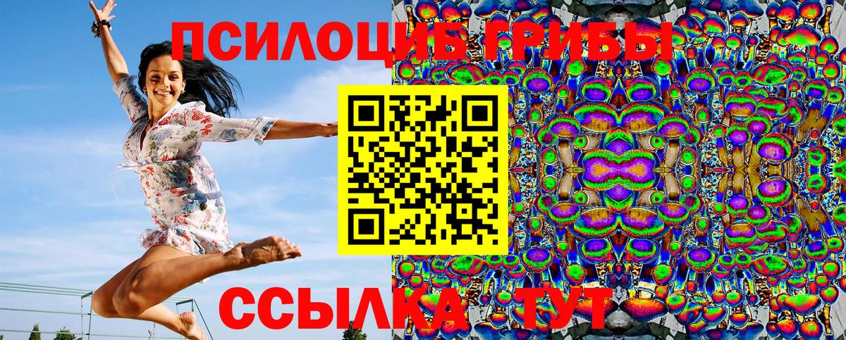 Псилоцибиновые грибы Psilocybe  Вход с VPN  что такое наркотик  Таганрог 